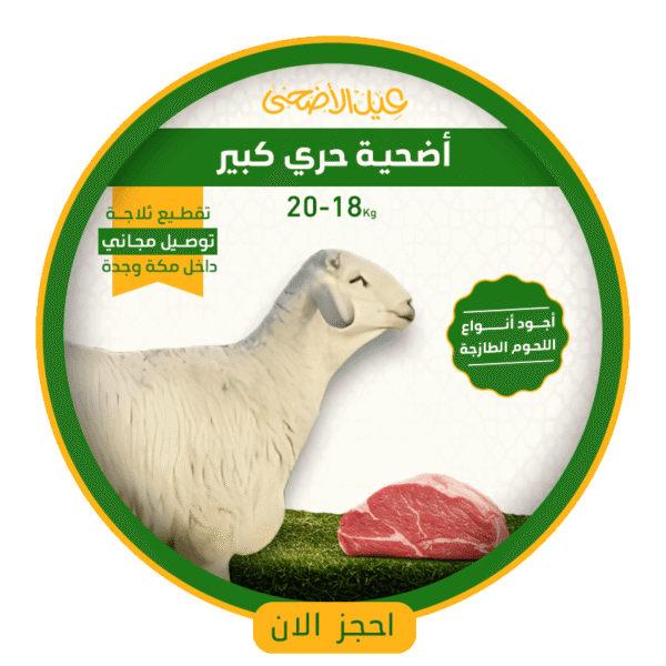أضحية خروف حري بلدي كبير (18 الى 20) كيلو