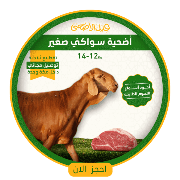 أضحية خروف سواكني صغير (12 الى 14) كيلو