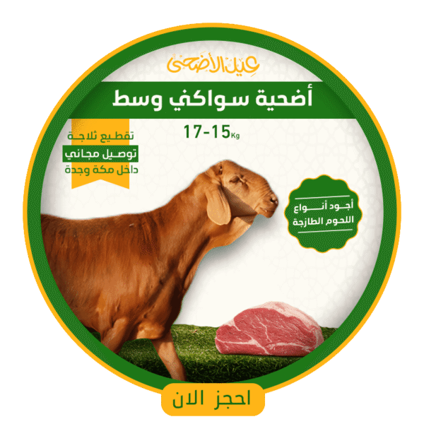 أضحية خروف سواكني وسط (15 الى 17) كيلو
